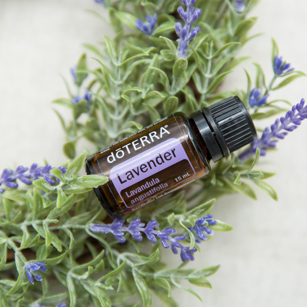 Lavender Oil